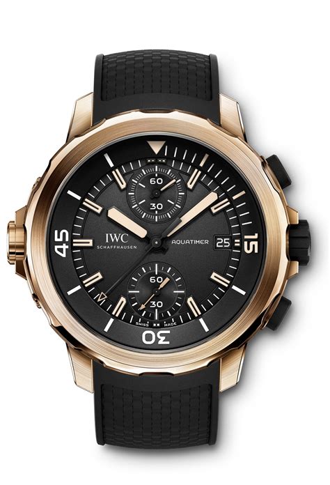 iwc aquatimer chronograph charles darwin replica|charles darwin aquatimer.